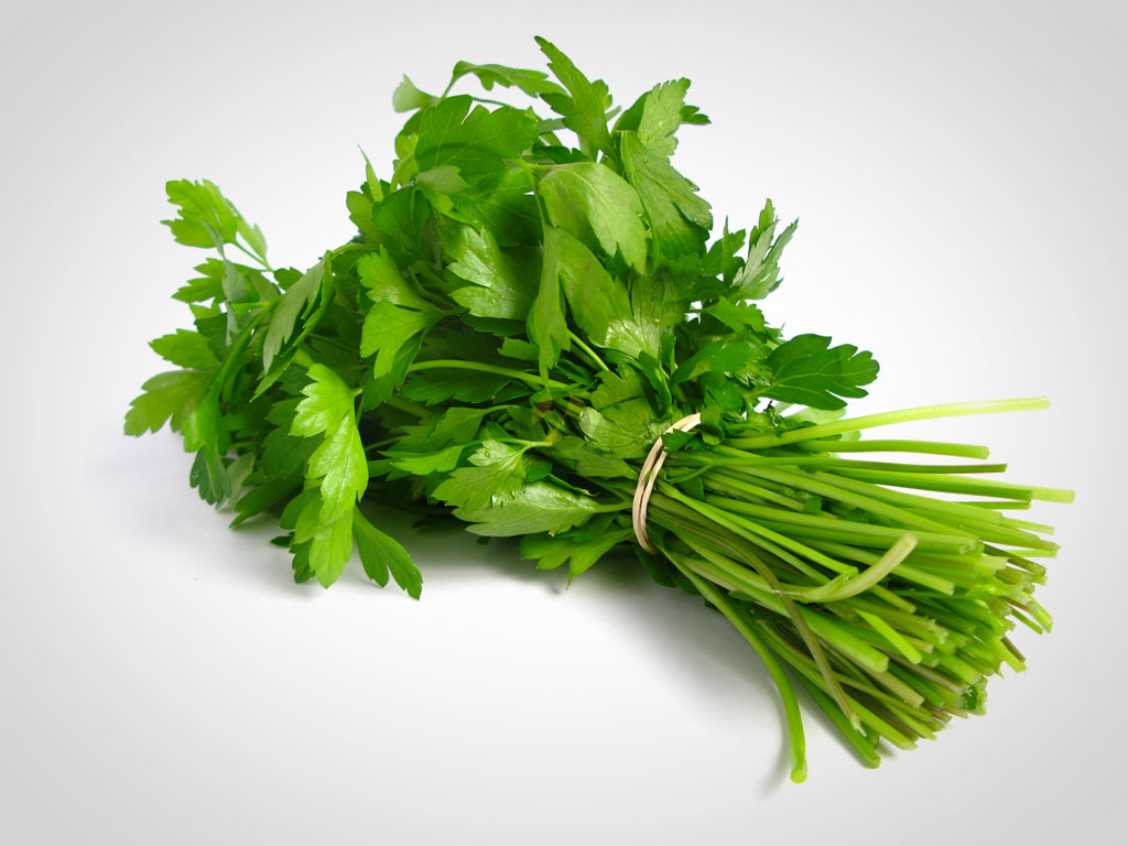 Aromatiza tus platos con el cilantro