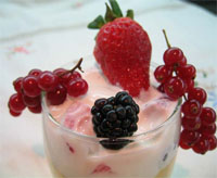 Crema de vainilla y yogur con frutos rojos