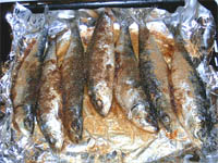 Sardinas al horno